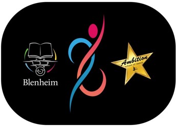 Blenheim Ambition Dance Academy