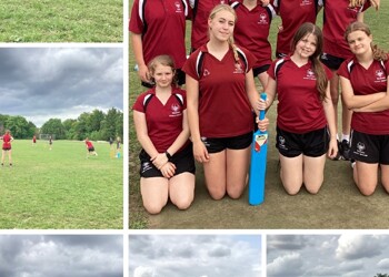 Year 7 and 8 Girls Cricket Tournament
