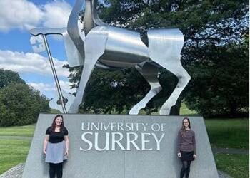 University of Surrey Research Skills